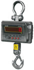 Crane/suspended Scales